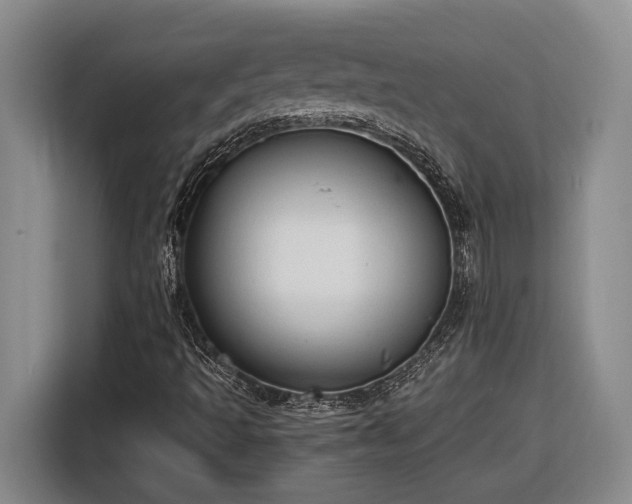 X0000116681493200912211613