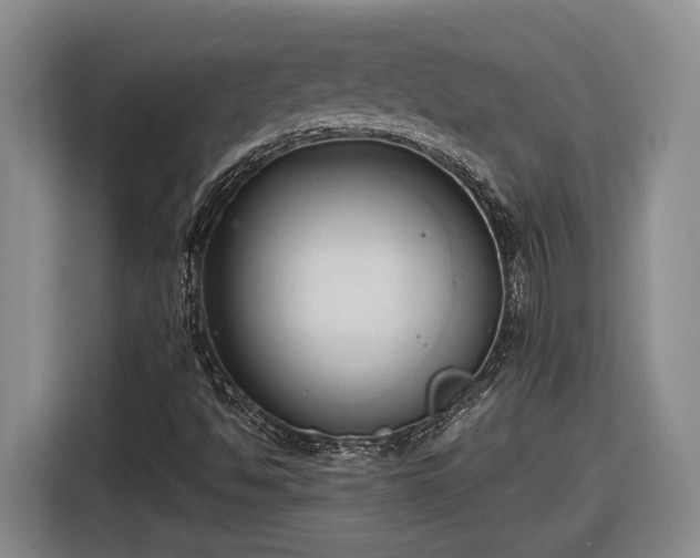 X0000116681494200912211613