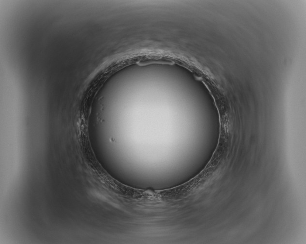 X0000116681495200912211613