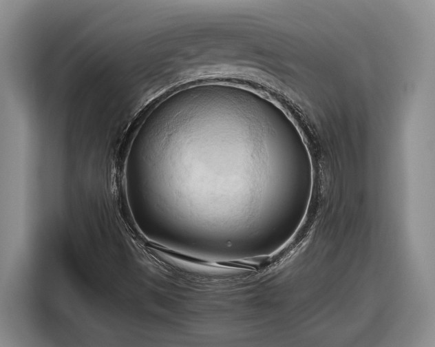 X0000116681497200912211613