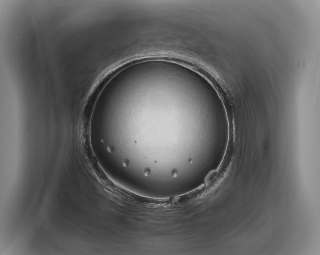 X0000116681501200912211613