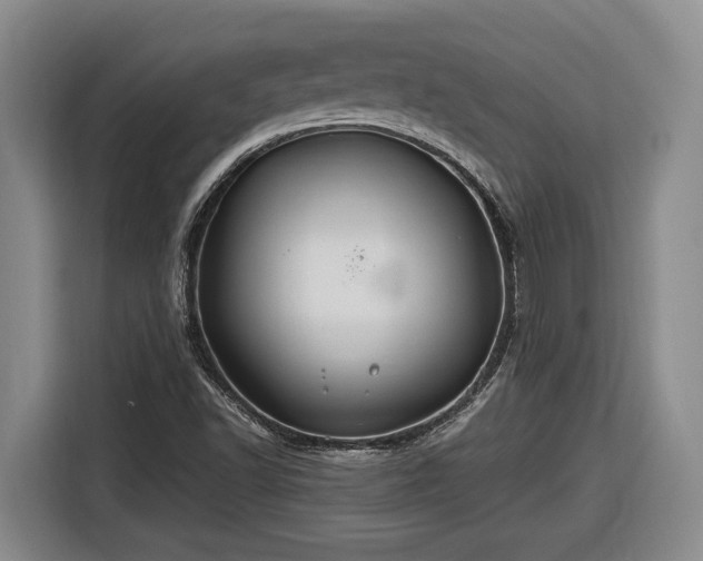 X0000116681502200912211613