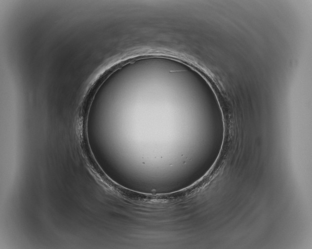 X0000116681503200912211613