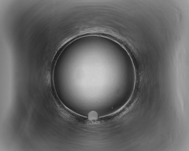 X0000116681505200912211613