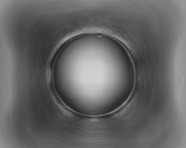 X0000116681507200912211613