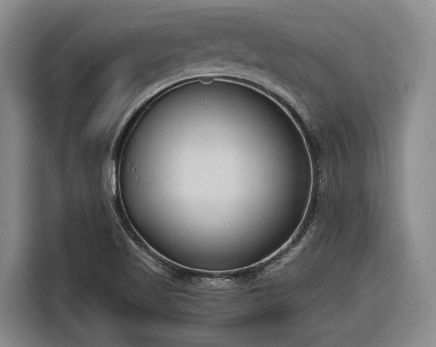 X0000116681509200912211613