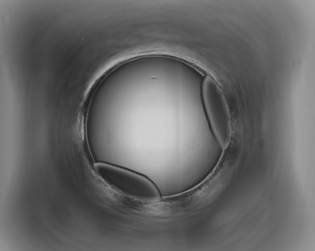 X0000116681510200912211613