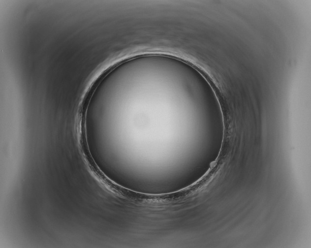 X0000116681511200912211613