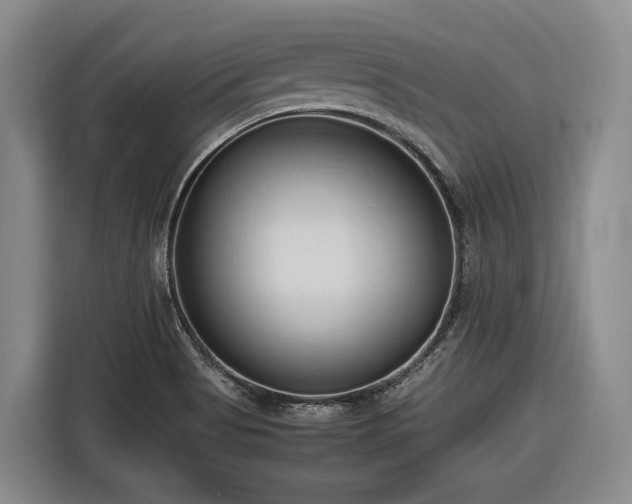 X0000116681513200912211613