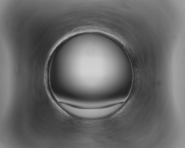 X0000116681518200912211613