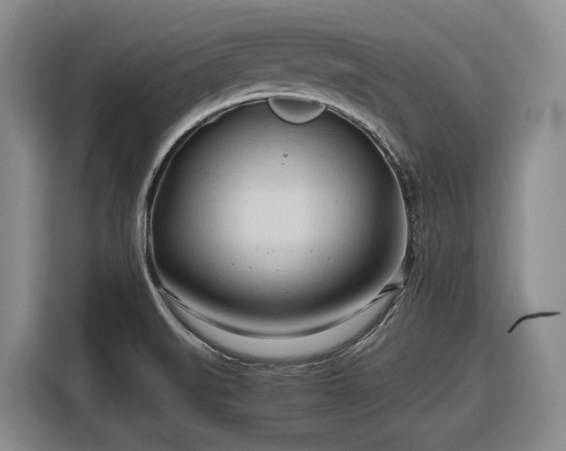 X0000116681519200912211613