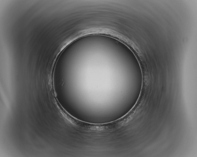 X0000116681521200912211613