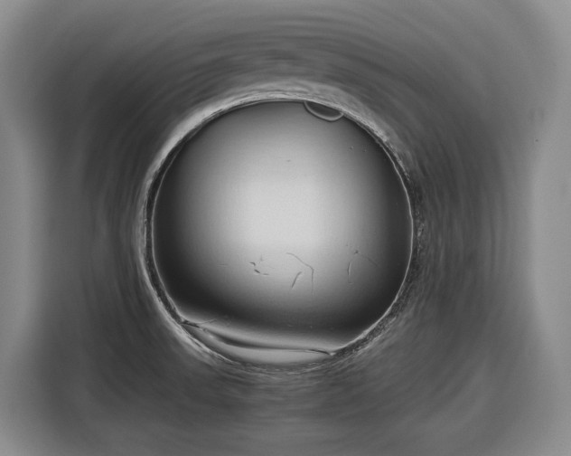 X0000116681523200912211614