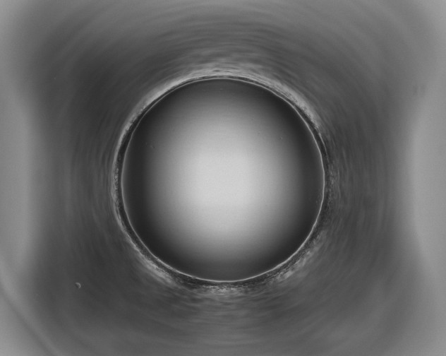 X0000116681525200912211614