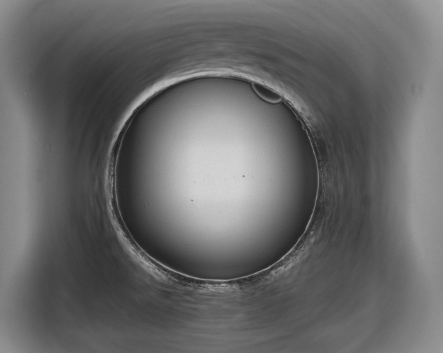 X0000116681526200912211614