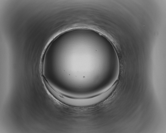 X0000116681527200912211614