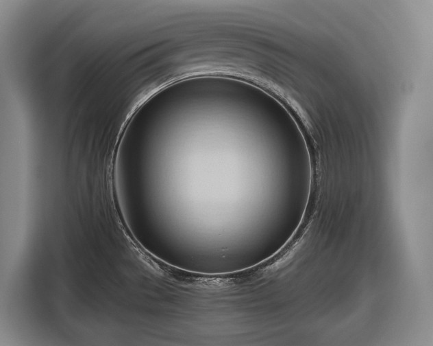 X0000116681529200912211614