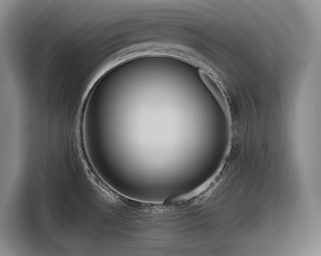 X0000116681530200912211614