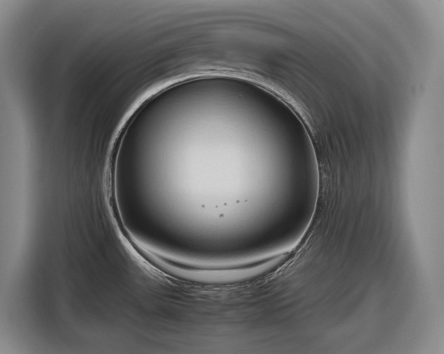 X0000116681531200912211614