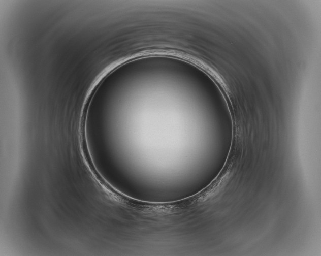 X0000116681533200912211614