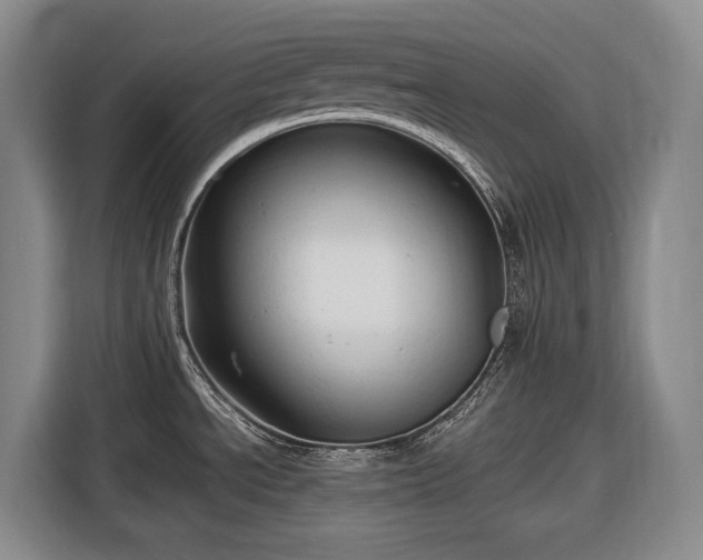 X0000116681534200912211614