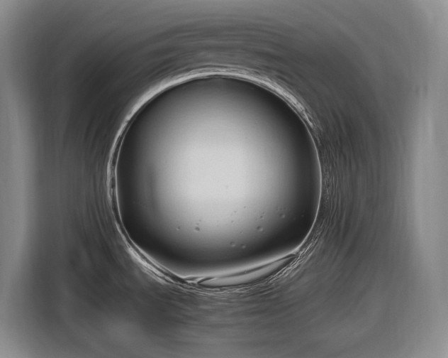 X0000116681535200912211614