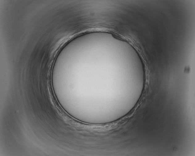 X0000116680001200912291729