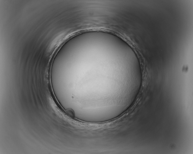 X0000116680002200912291729