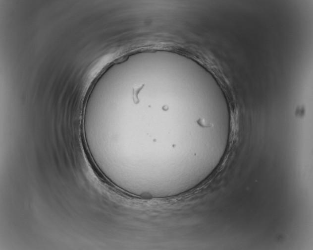 X0000116680003200912291729