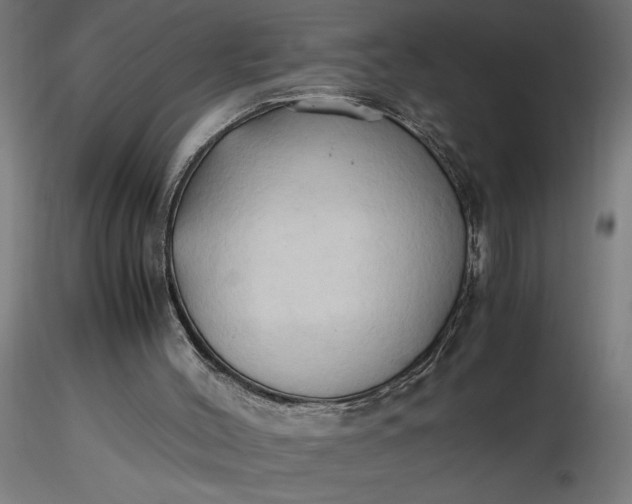 X0000116680004200912291729