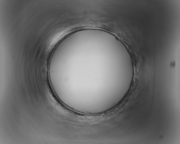 X0000116680005200912291729