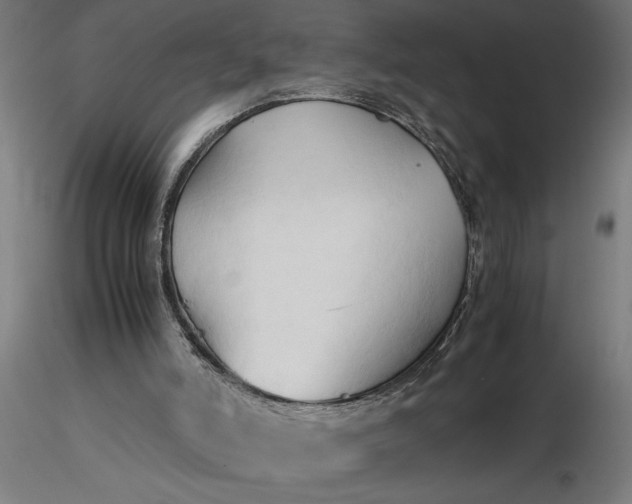 X0000116680006200912291729