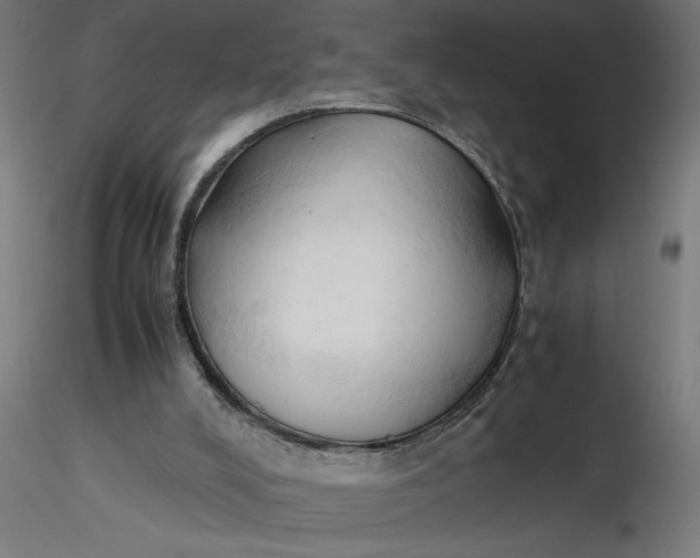 X0000116680008200912291729