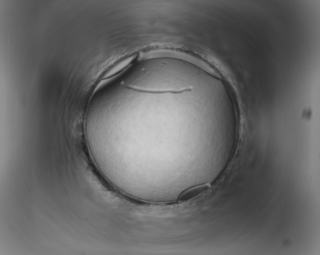 X0000116680009200912291729