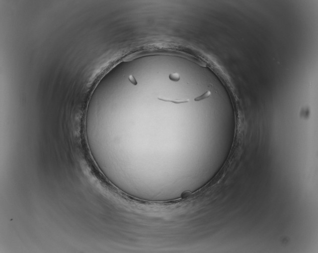 X0000116680010200912291729