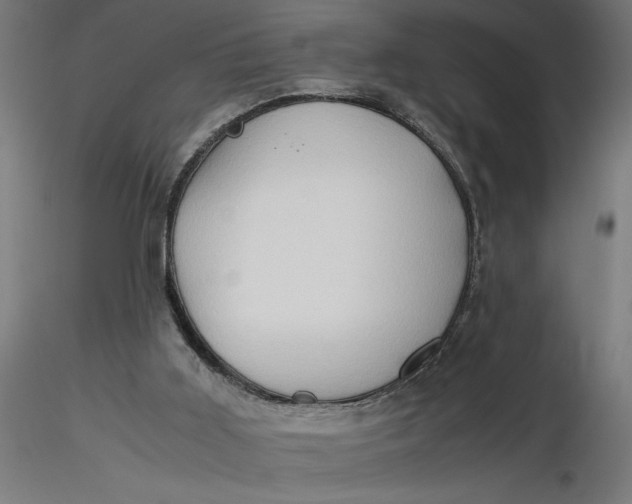 X0000116680011200912291729