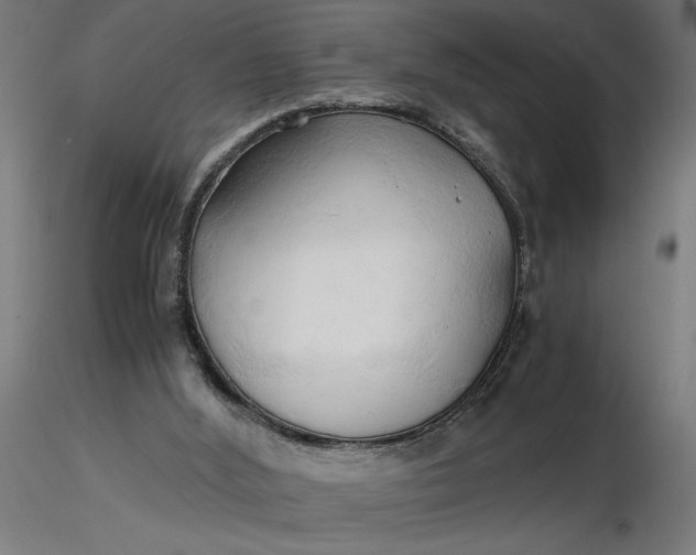 X0000116680012200912291729