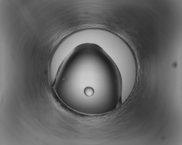 X0000116680013200912291729