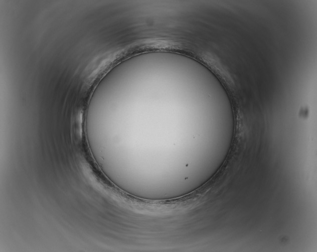 X0000116680014200912291729