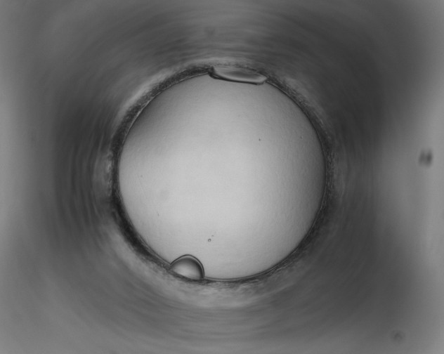 X0000116680016200912291729