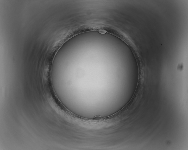 X0000116680018200912291729