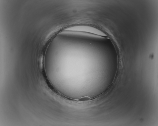 X0000116680019200912291729