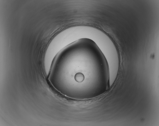 X0000116680021200912291729