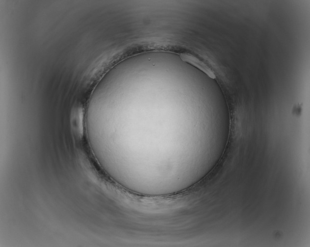 X0000116680022200912291729