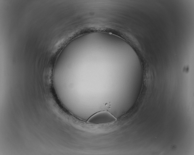 X0000116680023200912291729