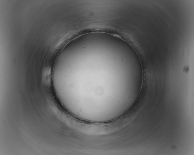 X0000116680024200912291729