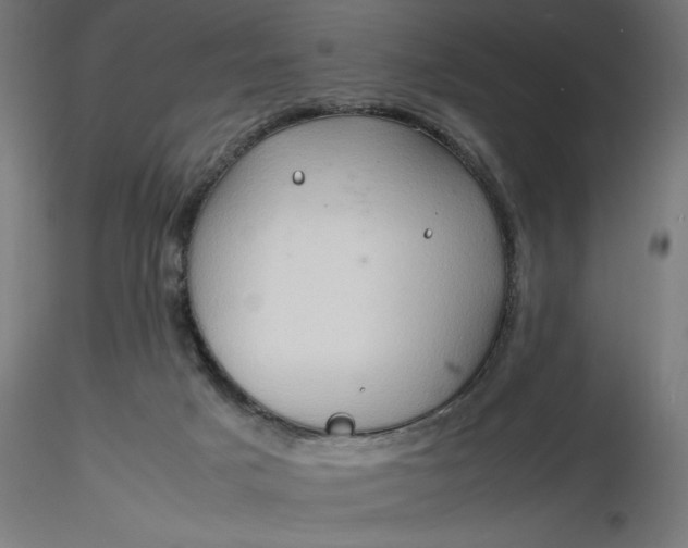 X0000116680025200912291729