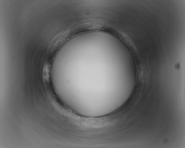 X0000116680026200912291729