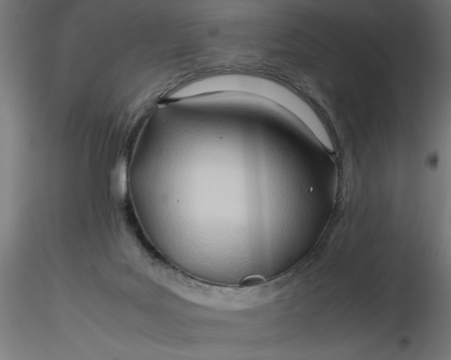 X0000116680027200912291729