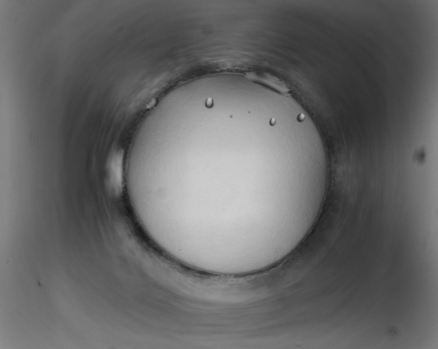 X0000116680028200912291729